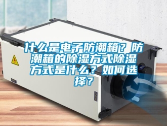 常见问题什么是电子防潮箱？防潮箱的除湿方式除湿方式是什么？如何选择？