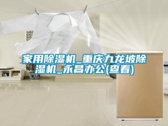 常见问题家用除湿机_重庆九龙坡除湿机_永昌办公(查看)