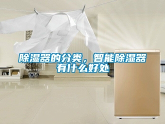 行业新闻除湿器的分类，智能除湿器有什么好处