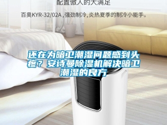 企业新闻还在为暗卫潮湿问题感到头疼？安诗曼除湿机解决暗卫潮湿的良方
