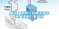 重庆／贵州／安顺洪森工业抽湿机厂家直销