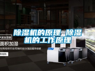 企业新闻除湿机的原理 除湿机的工作原理