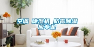 空调≠除湿机 防霉除湿应专业