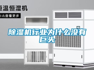 企业新闻除湿机行业为什么没有巨头