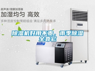 常见问题除湿机好用不贵，雨季除湿全靠它