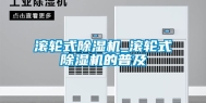 滚轮式除湿机_滚轮式除湿机的普及