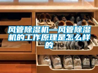 行业新闻风管除湿机—风管除湿机的工作原理是怎么样的