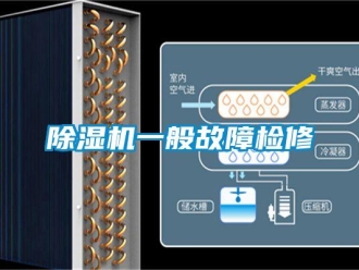 企业新闻除湿机一般故障检修