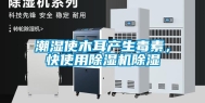 潮湿使木耳产生毒素，快使用除湿机除湿
