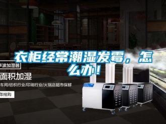 常见问题衣柜经常潮湿发霉，怎么办！