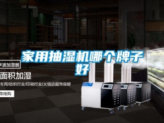 企业新闻家用抽湿机哪个牌子好
