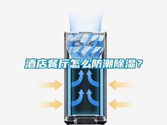 常见问题酒店餐厅怎么防潮除湿？