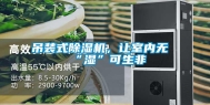 吊装式除湿机，让室内无“湿”可生非