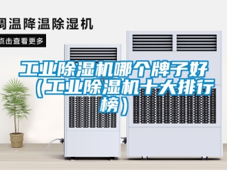 常见问题工业除湿机哪个牌子好（工业除湿机十大排行榜）