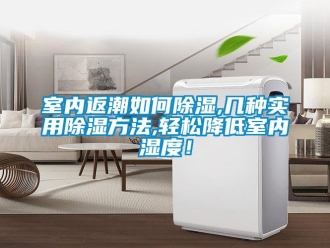 企业新闻室内返潮如何除湿,几种实用除湿方法,轻松降低室内湿度！