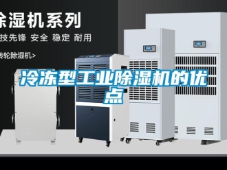 常见问题冷冻型工业除湿机的优点
