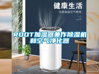 企业新闻ROOT加湿器兼作除湿机和空气净化器