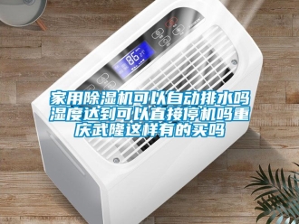 常见问题家用除湿机可以自动排水吗湿度达到可以直接停机吗重庆武隆这样有的买吗
