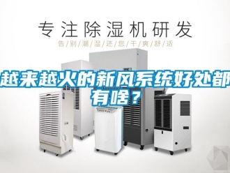 企业新闻越来越火的新风系统好处都有啥？