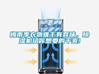 行业新闻梅雨季衣物难干有异味，除湿机给你想要的干爽!