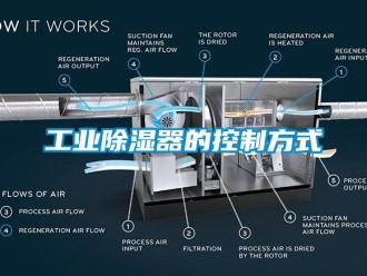 企业新闻工业除湿器的控制方式