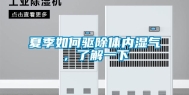 夏季如何驱除体内湿气，了解一下