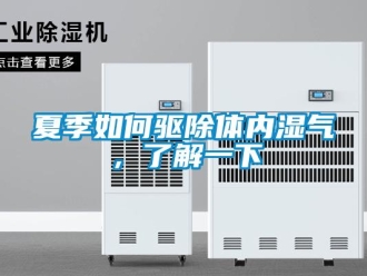 常见问题夏季如何驱除体内湿气，了解一下