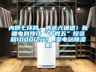 行业新闻内供七环网、外送六通道！新疆电网预计“十四五”投资超1000亿元！_变电站除湿机
