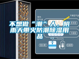 企业新闻不想做“潮”人，阴雨天带火防潮除湿用品