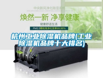 常见问题杭州工业除湿机品牌(工业除湿机品牌十大排名)