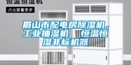 眉山市配电房除湿机，工业抽湿机  恒温恒湿非标机器