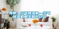 其他：空气除湿机—空气除湿机相关知识介绍