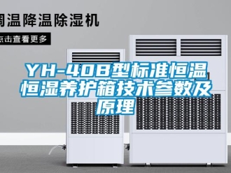 常见问题YH-40B型标准恒温恒湿养护箱技术参数及原理