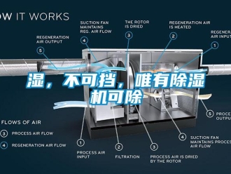 知识百科湿，不可挡，唯有除湿机可除