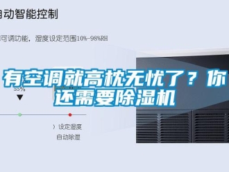 知识百科有空调就高枕无忧了？你还需要除湿机