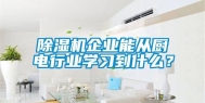 除湿机企业能从厨电行业学习到什么？