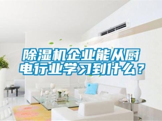 常见问题除湿机企业能从厨电行业学习到什么？