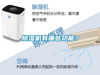 行业新闻除湿机有哪些功能？