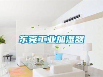 企业新闻东莞工业加湿器