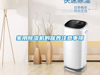 常见问题家用除湿机的保养注意事项