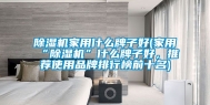除湿机家用什么牌子好(家用“除湿机”什么牌子好，推荐使用品牌排行榜前十名)