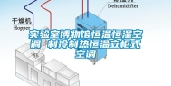 实验室博物馆恒温恒湿空调 制冷制热恒温立柜式空调
