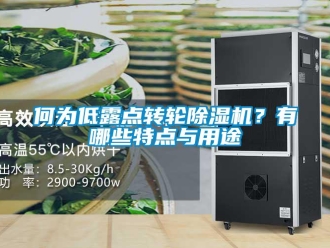 行业新闻何为低露点转轮除湿机？有哪些特点与用途