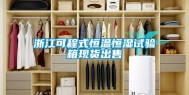 浙江可程式恒温恒湿试验箱现货出售