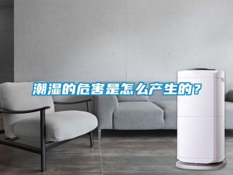 常见问题潮湿的危害是怎么产生的？