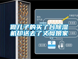行业新闻做儿子的买了台除湿机却送去了丈母娘家