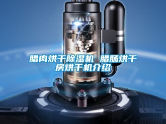 行业新闻腊肉烘干除湿机 腊肠烘干房烘干机介绍