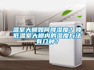 企业新闻温室大棚如何降湿度？降低温室大棚内的湿度方法有几种？
