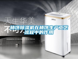 知识百科柿饼除湿机在柿饼生产工艺流程中的作用