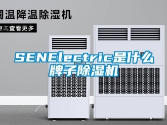 企业新闻SENElectric是什么牌子除湿机
